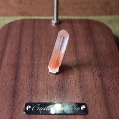 34-Crystal Red Rabbit