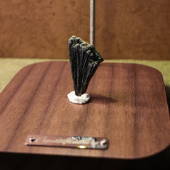 63-Tourmaline Green